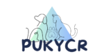 Puky CR